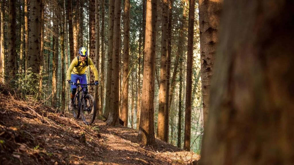 Wypożyczalnia rowerów elektrycznych eMTB w Karpaczu | trasa rowerowa po lesie | Enduro Bike