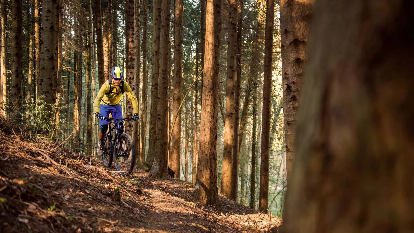 Wypożyczalnia rowerów elektrycznych eMTB w Karpaczu | trasa rowerowa po lesie | Enduro Bike
