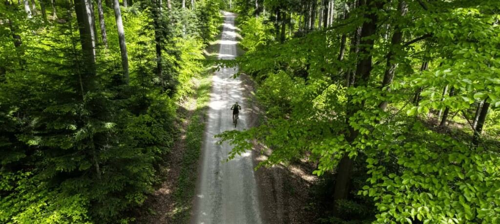 Wypożyczalnia rowerów elektrycznych eMTB w Karpaczu | Trasa rowerowa przez las | Enduro Bike